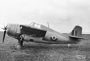 Grumman Wildcat