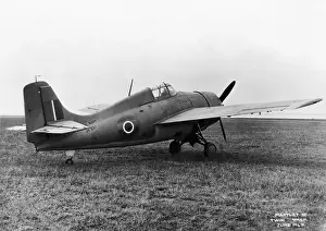 Grumman Wildcat