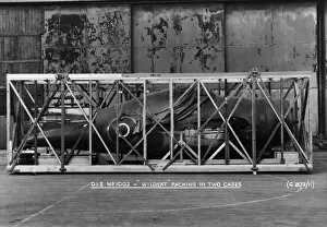 Grumman Wildcat