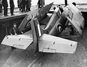 Grumman Wildcat
