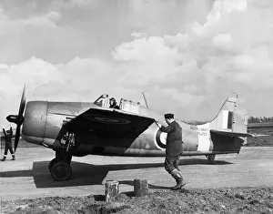 Grumman Wildcat