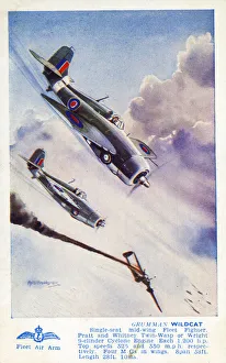 Images Dated 1st March 2019: Grumman Wildcat