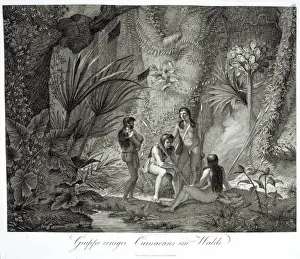 Gruppe einiger Camacans im Walde