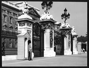 Images Dated 15th October 2007: Guard / Buckingham Palace