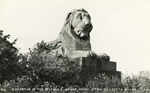 Anglesey Prints: Guardian Lion - Britannia Bridge, Menai Straits