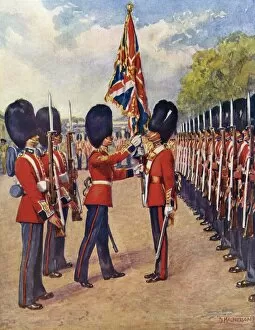 Images Dated 3rd June 2011: Guards Saluting