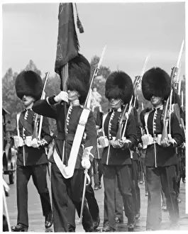 Guardsmen Prints: Guards Wearing Busbys