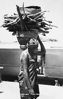 Guari wood carrier, Northern Nigeria, Africa