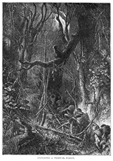 Dense Prints: Guatemala Jungle