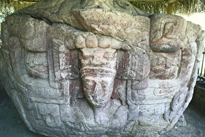 Mejico Collection: Guatemala. QuiriguᮠMaya Zoomorph