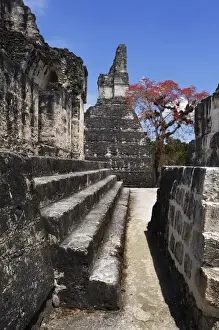 Guatemala. Tikal. Maya Art