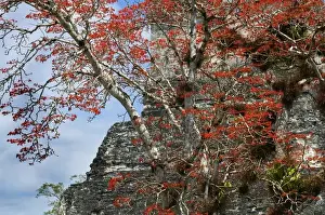 Guatemala. Tikal. Maya Art