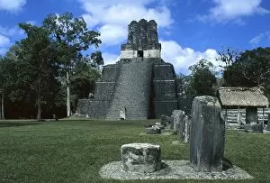 Patrimonio Collection: Guatemala. Tikal. Maya pyramid