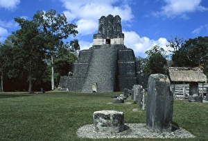Patrimonio Collection: Guatemala. Tikal. Maya pyramid