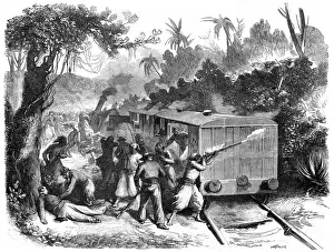 Cruz Prints: Guerrilla Attack Train
