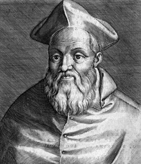Guglielmo Gallery: Guglielmo Sirleto