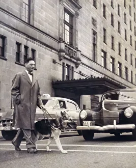 Blind Collection: Guide Dog Crossing Road
