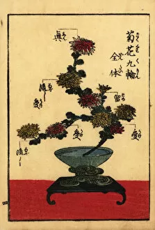 Images Dated 4th September 2019: Guide to the vocabulary of Japanese flower arranging