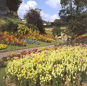 Array Prints: Guildford Castle Gardens