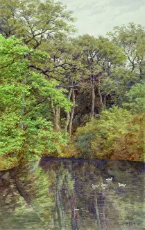 Guildford Prints: Guildford, Surrey