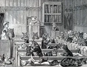 Guilty or not Guilty, the Cats Court