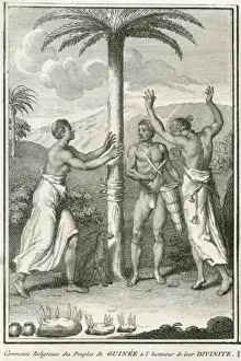 Guinea Worship