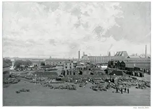 Guinness Prints: Guinness Brewery - Dublin 1890s