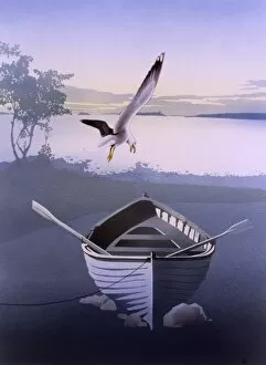 Gull swoops above an empty rowing boat