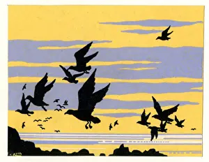 Seagull Prints: Gulls in Flight