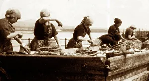 Fishwives Prints: Gutting herring, Port St. Mary, Isle of Man, early 1900s