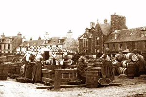 Gutting herring, Stornoway Isle of Lewis