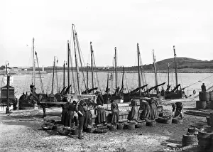 Gutting Herrings, Ardglass