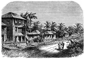 Guiana Prints: Guyane Francaise Scene