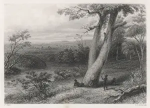Gwalior Plains Australia