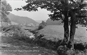 In the Gwaun Valley