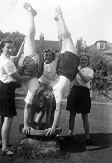 Gym in the garden
