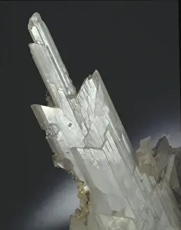 Gypsum Prints: Gypsum