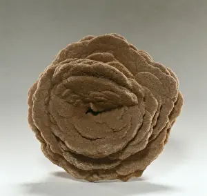 Gypsum Prints: Gypsum crystals - A desert rose