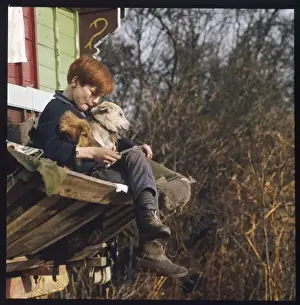 Gypsy Boy and Dogs