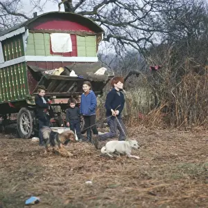 Brightly Prints: Gypsy Children and Dogs