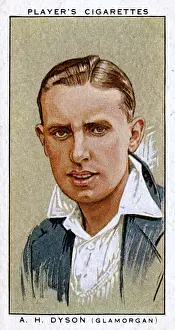 A H Dyson, Glamorgan County cricketer
