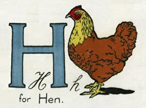 Kiddiewiddies Prints: H for Hen