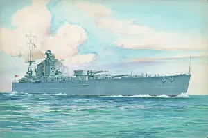 H. M. S. Rodney, naval ships