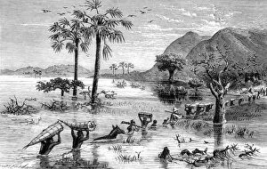 Emin Collection: H. M. Stanleys Expedition crossing the Makata Swamp, Central