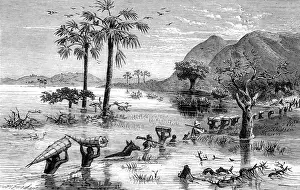 Fame Prints: H. M. Stanleys Expedition crossing the Makata Swamp, Central