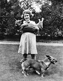 Corgis Prints: H. R. H the Princess Elizabeth with her corgis