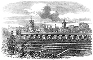 Cress Collection: Hackney Station and watercress plantation