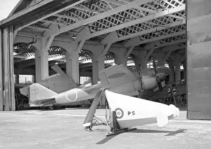 Mitsubishi Prints: Hafner H. 8 Rotachute Mk. IV P-5