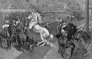 Fortunio Gallery: Hagenbecks Great Zoological Show at Olympia, London