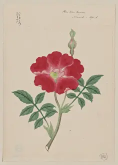 Hai kai kuwa - March-April